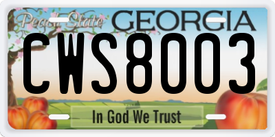 GA license plate CWS8003