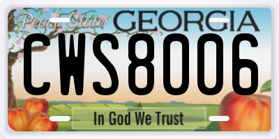 GA license plate CWS8006