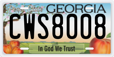 GA license plate CWS8008
