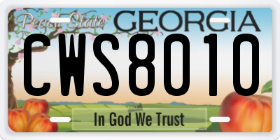 GA license plate CWS8010