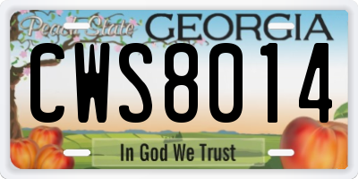 GA license plate CWS8014