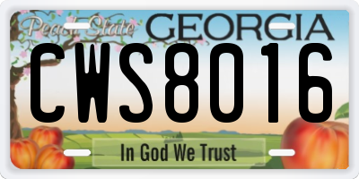 GA license plate CWS8016