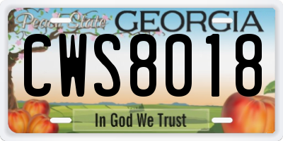 GA license plate CWS8018
