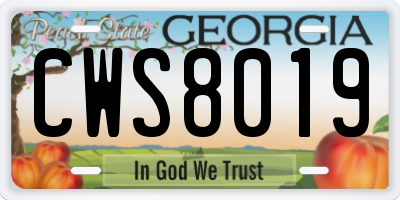 GA license plate CWS8019