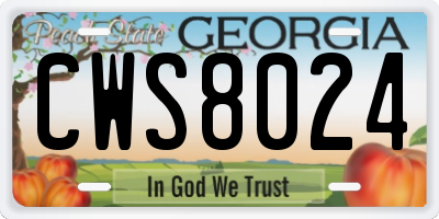 GA license plate CWS8024