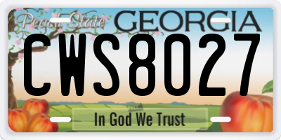 GA license plate CWS8027