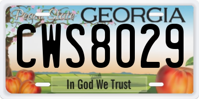 GA license plate CWS8029