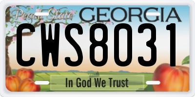 GA license plate CWS8031