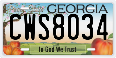 GA license plate CWS8034