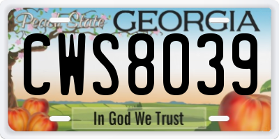 GA license plate CWS8039