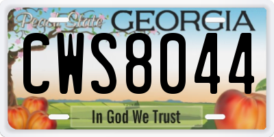 GA license plate CWS8044