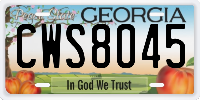 GA license plate CWS8045