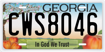 GA license plate CWS8046