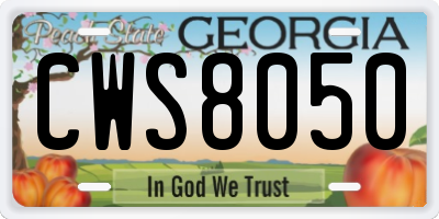 GA license plate CWS8050
