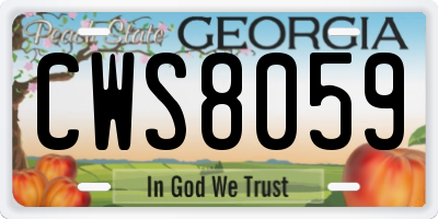 GA license plate CWS8059