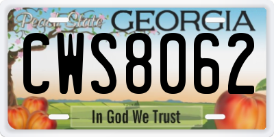 GA license plate CWS8062