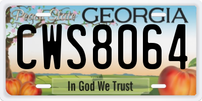 GA license plate CWS8064