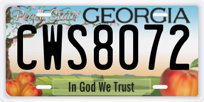 GA license plate CWS8072