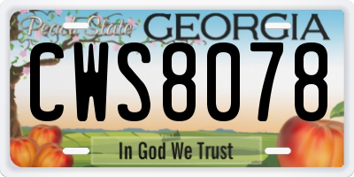 GA license plate CWS8078
