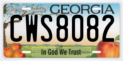 GA license plate CWS8082