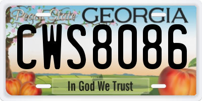 GA license plate CWS8086
