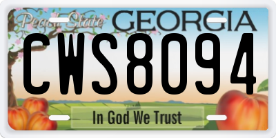 GA license plate CWS8094