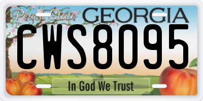 GA license plate CWS8095