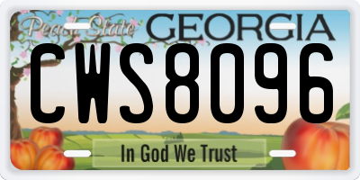 GA license plate CWS8096