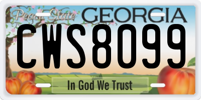 GA license plate CWS8099