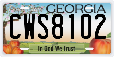 GA license plate CWS8102