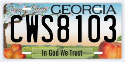 GA license plate CWS8103