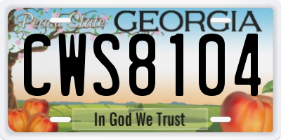GA license plate CWS8104