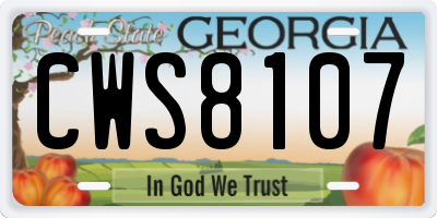 GA license plate CWS8107