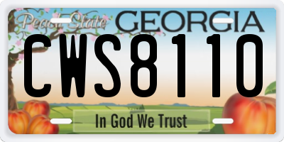 GA license plate CWS8110