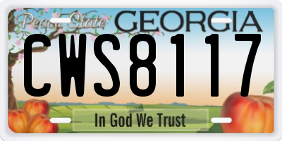 GA license plate CWS8117