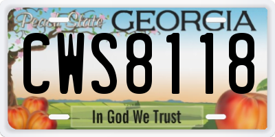 GA license plate CWS8118