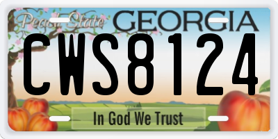 GA license plate CWS8124