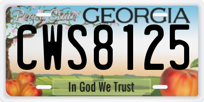 GA license plate CWS8125