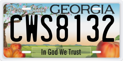GA license plate CWS8132