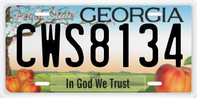 GA license plate CWS8134