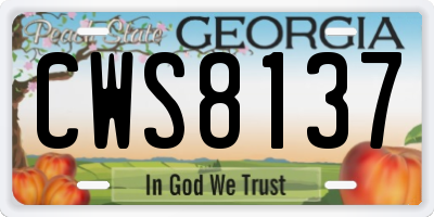 GA license plate CWS8137
