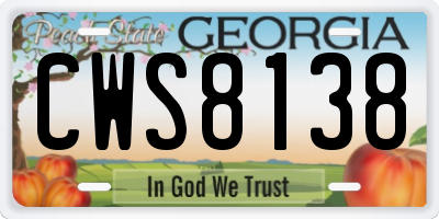 GA license plate CWS8138