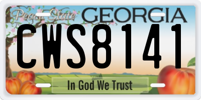 GA license plate CWS8141