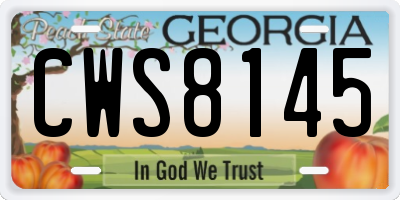 GA license plate CWS8145