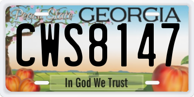 GA license plate CWS8147