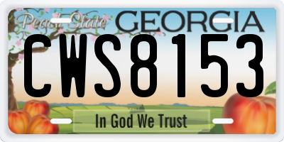 GA license plate CWS8153