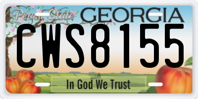 GA license plate CWS8155