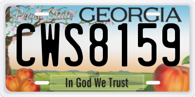 GA license plate CWS8159