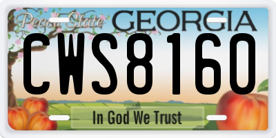 GA license plate CWS8160