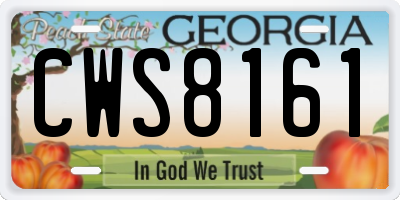GA license plate CWS8161